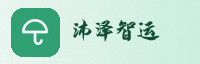partner